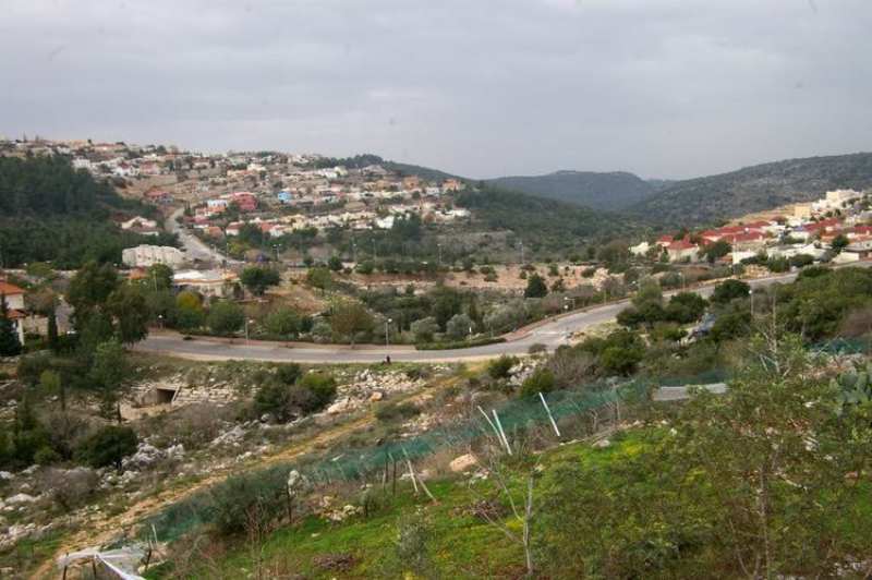 קידום אתרים בכפר ורדים